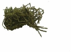 Натуральная мочалка для скраба "дерябка" ― Оптовая компания Русский Банный Дом